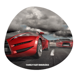 family fleet insurance (2)